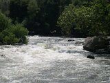 photo19
