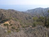 photo20