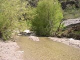 photo14