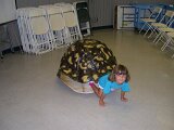 photo17