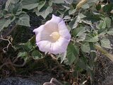 photo12