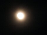 photo17