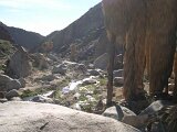 photo19