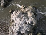 photo14
