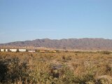 photo19