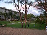 photo14