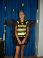 photo13