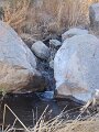 photo18