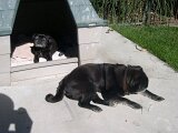 photo15
